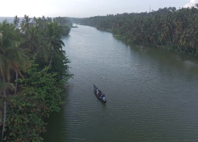 Aerial View of Kerala Backwaters with Coconut Trees and Boat in India
