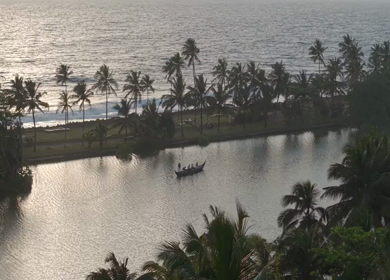 Aerial View of Kerala Backwaters with Coconut Trees and Boat in India