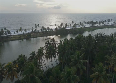 Aerial View of Kerala Backwaters with Coconut Trees and Boat in India
