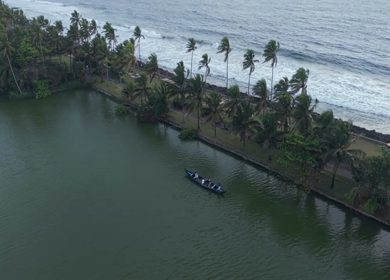Aerial View of Kerala Backwaters with Coconut Trees and Boat in India