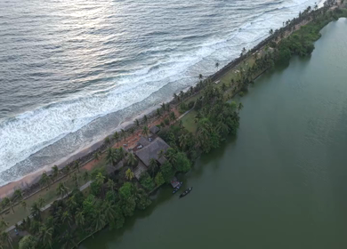 Aerial View of Kerala Coastline with Waves and Coconut Trees in India