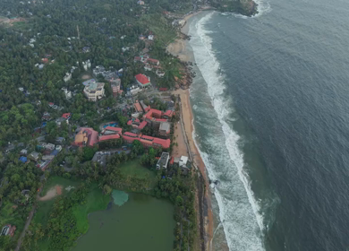 Aerial View of Kerala Coastline with Waves and Coconut Trees in India