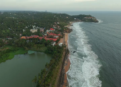 Aerial View of Kerala Coastline with Waves and Coconut Trees in India