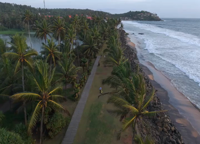 Aerial View of Kerala Coastline with Waves and Coconut Trees in India