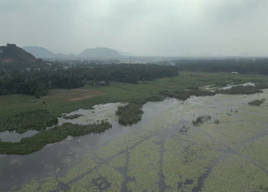 Aerial View of Kondakarla Ava Lake and Lotus Wetland Near Visakhapatnam Andhra Pradesh