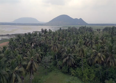 Aerial View of Kondakarla Ava Lake and Lotus Wetland Near Visakhapatnam Andhra Pradesh