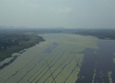 Aerial View of Kondakarla Ava Lake and Lotus Wetland Near Visakhapatnam Andhra Pradesh