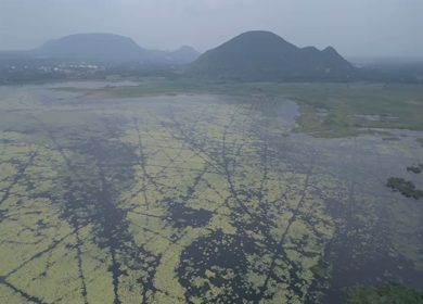 Aerial View of Kondakarla Ava Lake and Lotus Wetland Near Visakhapatnam Andhra Pradesh