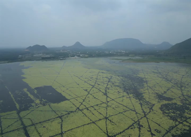 Aerial View of Kondakarla Ava Lake and Lotus Wetland Near Visakhapatnam Andhra Pradesh