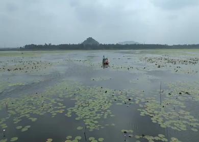Aerial View of Kondakarla Ava Lake and Lotus Wetland Near Visakhapatnam Andhra Pradesh