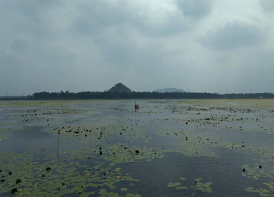 Aerial View of Kondakarla Ava Lake and Lotus Wetland Near Visakhapatnam Andhra Pradesh