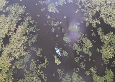 Aerial View of Kondakarla Ava Lake and Lotus Wetland Near Visakhapatnam Andhra Pradesh