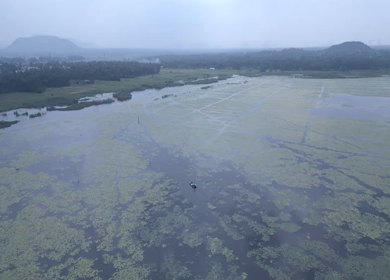Aerial View of Kondakarla Ava Lake and Lotus Wetland Near Visakhapatnam Andhra Pradesh