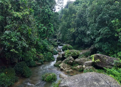 Aerial View of Krang Suri Waterfall Meghalaya India