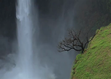 Aerial View of Kumbhe Waterfall and Misty Cliffs Maharashtra