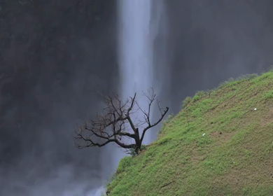 Aerial View of Kumbhe Waterfall and Misty Cliffs Maharashtra