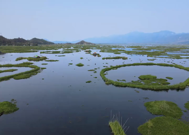 Aerial View of Loktak Lake Floating Islands Phumdis in Manipur India