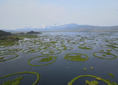 Aerial View of Loktak Lake Floating Islands Phumdis in Manipur India
