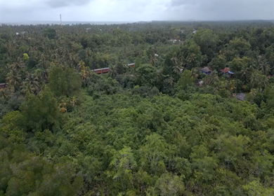 Aerial View of Madu Ganga Mangrove Lagoon and Islands Sri Lanka