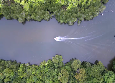 Aerial View of Madu Ganga Mangrove Lagoon and Islands Sri Lanka