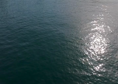 Aerial View of Marina Bandar Al Rowdha Muscat Oman with Yachts and Hajar Mountains