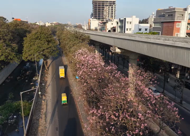 Aerial View of Metro Line and Road at Silk Board Junction with Pink Blossom Trees Bengaluru