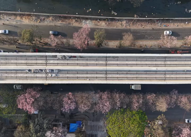 Aerial View of Metro Line and Road at Silk Board Junction with Pink Blossom Trees Bengaluru