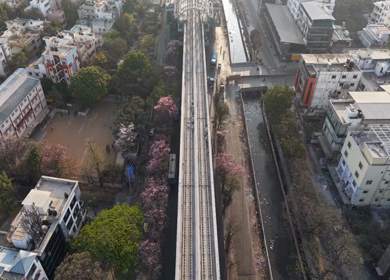 Aerial View of Metro Line and Road at Silk Board Junction with Pink Blossom Trees Bengaluru
