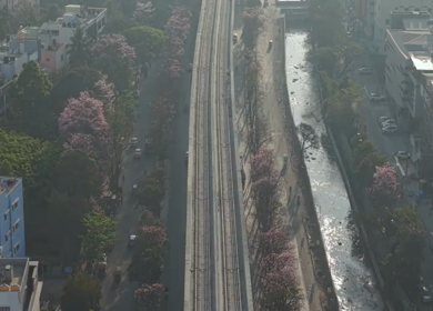 Aerial View of Metro Line and Road at Silk Board Junction with Pink Blossom Trees Bengaluru