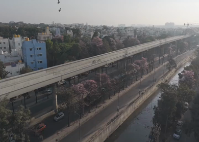 Aerial View of Metro Line and Road at Silk Board Junction with Pink Blossom Trees Bengaluru