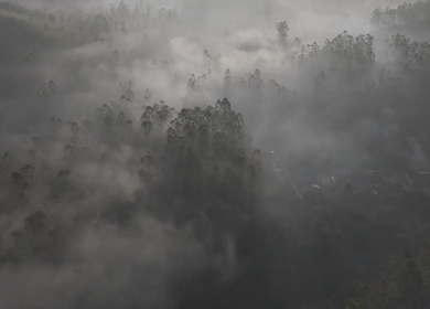 Aerial View of Misty Forest Landscape Along Munnar Gap Road Kerala India