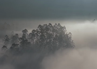 Aerial View of Misty Forest Landscape Along Munnar Gap Road Kerala India