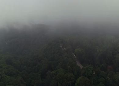 Aerial View of Misty Forest and Winding Road in Kanyakumari Tamil Nadu