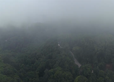 Aerial View of Misty Forest and Winding Road in Kanyakumari Tamil Nadu