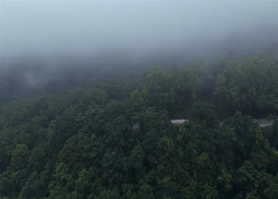 Aerial View of Misty Forest and Winding Road in Kanyakumari Tamil Nadu