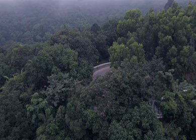 Aerial View of Misty Forest and Winding Road in Kanyakumari Tamil Nadu