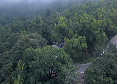 Aerial View of Misty Forest and Winding Road in Kanyakumari Tamil Nadu