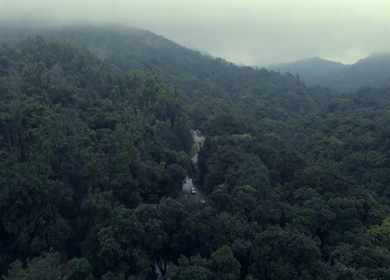 Aerial View of Misty Forest and Winding Road in Kanyakumari Tamil Nadu