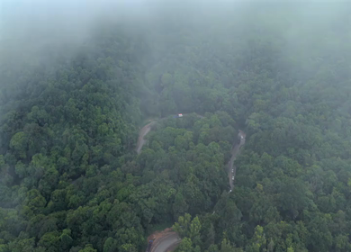 Aerial View of Misty Forest and Winding Road in Kanyakumari Tamil Nadu