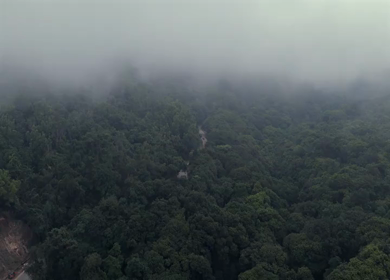 Aerial View of Misty Forest and Winding Road in Kanyakumari Tamil Nadu