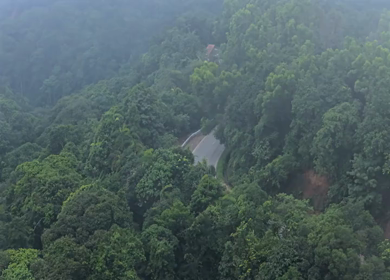 Aerial View of Misty Forest and Winding Road in Kanyakumari Tamil Nadu