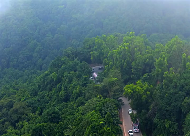 Aerial View of Misty Forest and Winding Road in Kanyakumari Tamil Nadu