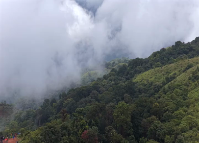 Aerial View of Misty Hills and Dense Forest Landscape Kanyakumari Tamil Nadu