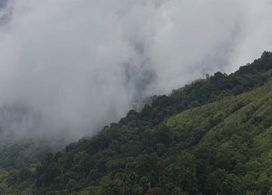 Aerial View of Misty Hills and Dense Forest Landscape Kanyakumari Tamil Nadu