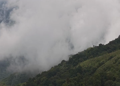Aerial View of Misty Hills and Dense Forest Landscape Kanyakumari Tamil Nadu