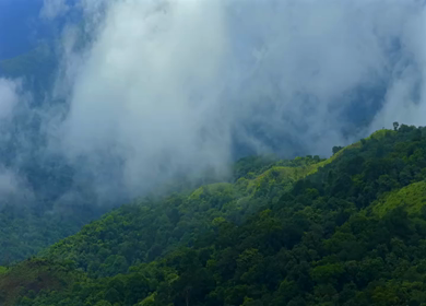 Aerial View of Misty Hills and Dense Forest Landscape Kanyakumari Tamil Nadu