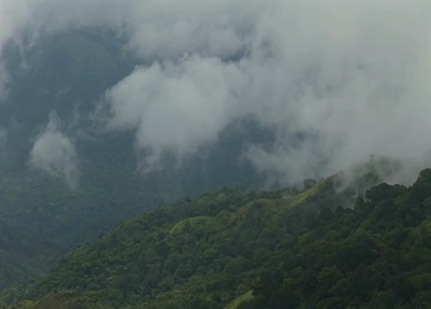Aerial View of Misty Hills and Dense Forest Landscape Kanyakumari Tamil Nadu