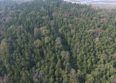 Aerial Drone View of Motorcyclists Riding Through Forest Road in Nagaland, India