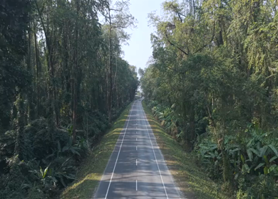 Aerial Drone View of Motorcyclists Riding Through Forest Road in Nagaland, India