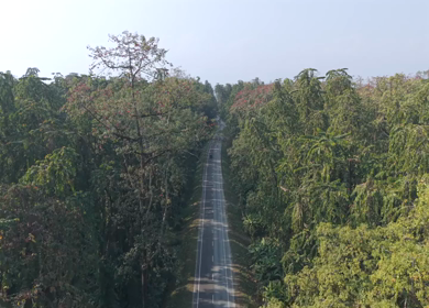 Aerial Drone View of Motorcyclists Riding Through Forest Road in Nagaland, India